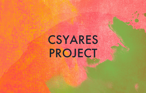 CSyARES Project image