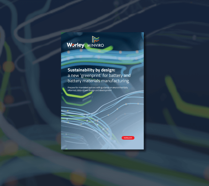 worley and minviro's white paper