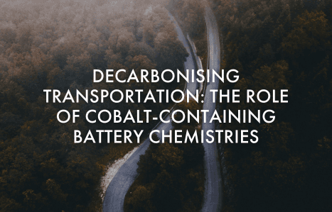 A background of a forest with roads crossing in the middle with the title of the webinar as the top layer.